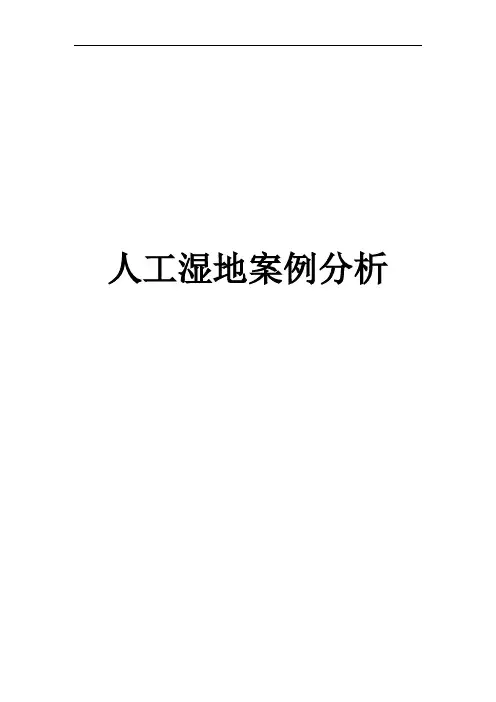 人工湿地案例分析