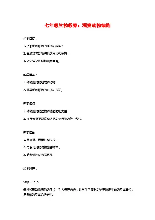 七年级生物教案：观察动物细胞