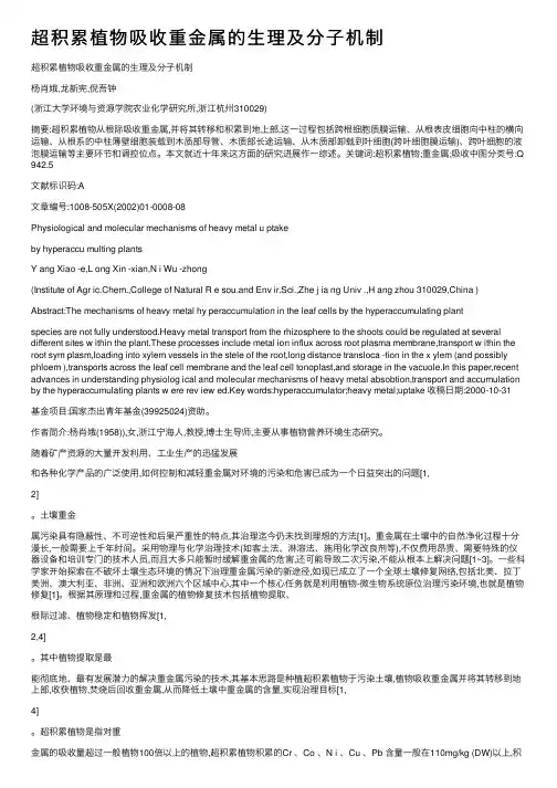 超积累植物吸收重金属的生理及分子机制