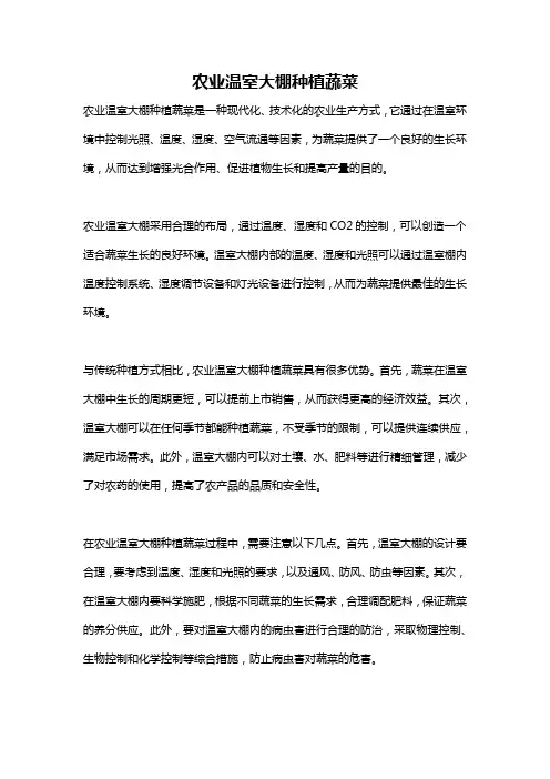 农业温室大棚种植蔬菜