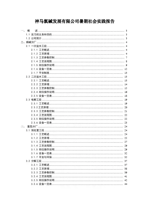 神马氯碱发展有限公司暑期社会实践报告