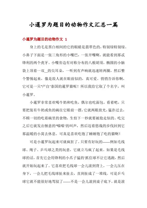 小暹罗为题目的动物作文汇总一篇