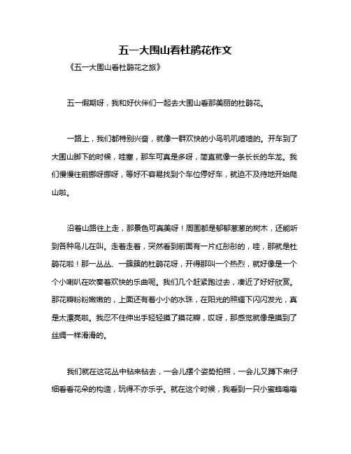 五一大围山看杜鹃花作文