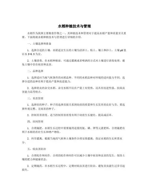 水稻种植技术与管理
