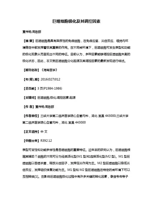 巨噬细胞极化及其调控因素