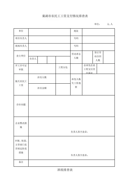 拖欠农民工工资排查表