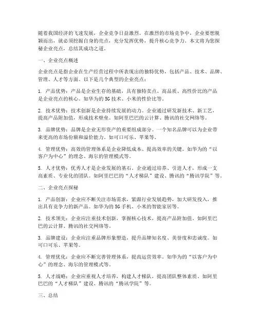探秘企业亮点总结范文
