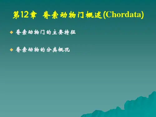 第12章脊索动物门