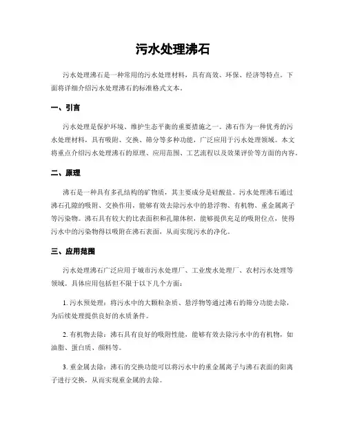 污水处理沸石