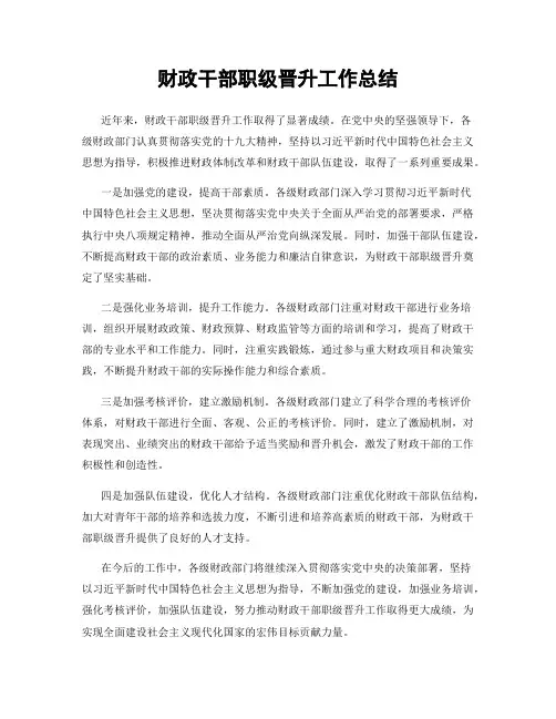 财政干部职级晋升工作总结