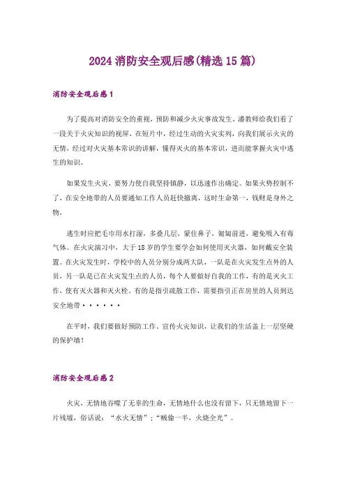 2024年消防安全观后感(精选15篇)