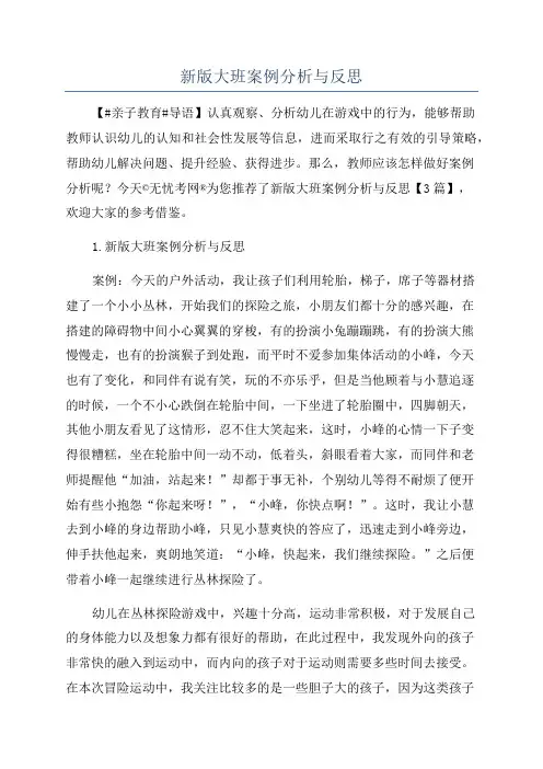 新版大班案例分析与反思
