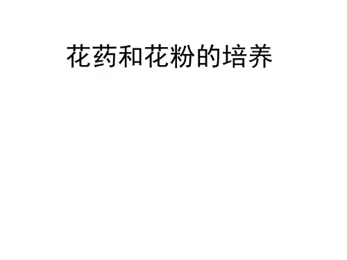 植物组织培养：花药和花粉培养