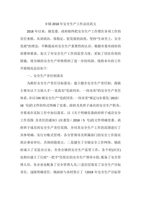 乡镇2018年安全生产工作总结范文