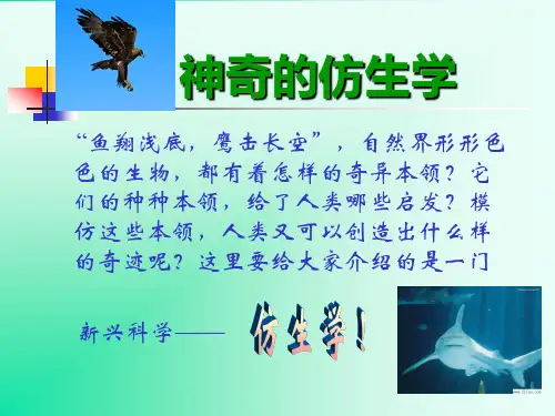 4物理高新技术——生物科学中的物理学——仿生学