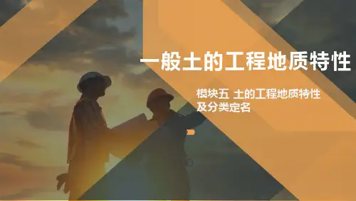 一般土的工程地质性质