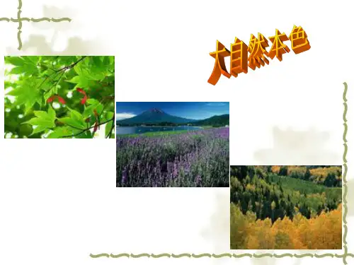 环境化学   大 气 颗 粒 物