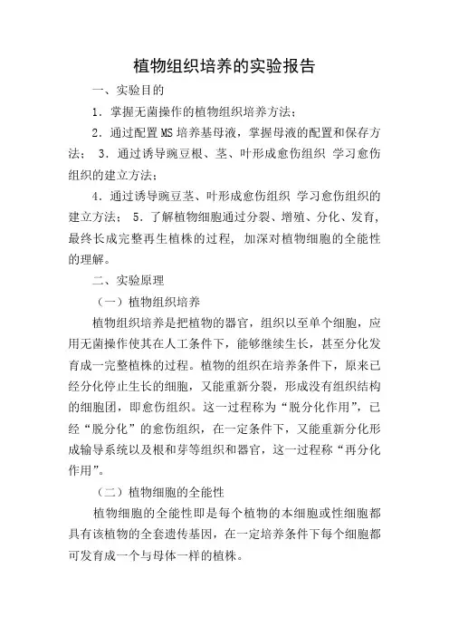 植物组织培养的实验报告