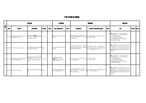 不符合项报告表模板
