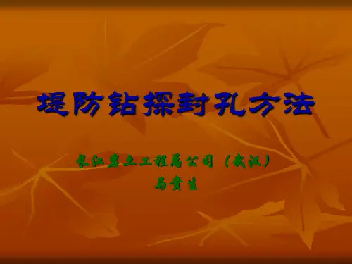 堤防钻探封孔方法