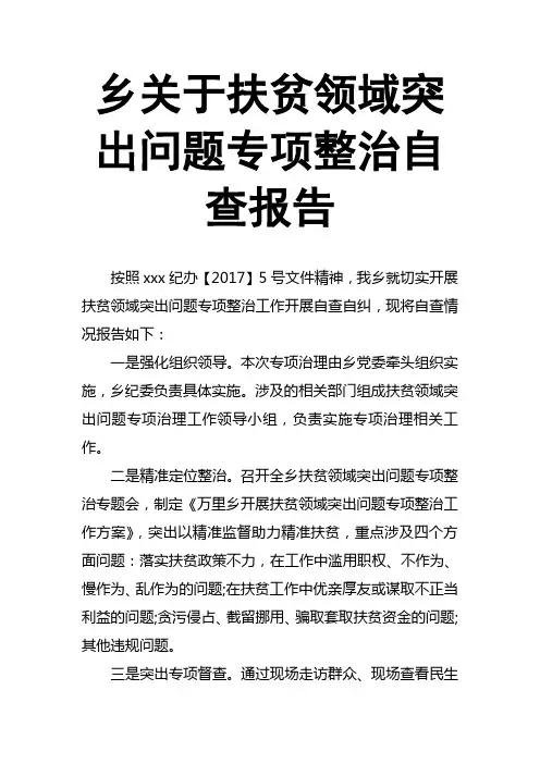 乡关于扶贫领域突出问题专项整治自查报告