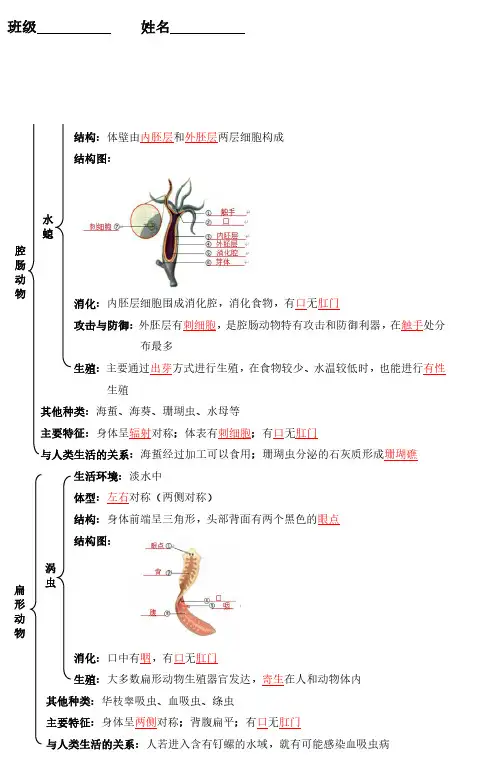 八年级生物上册知识点归纳知识背诵手册(人教版)