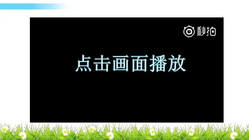 西师大版五年级下册语文23 胡杨赞