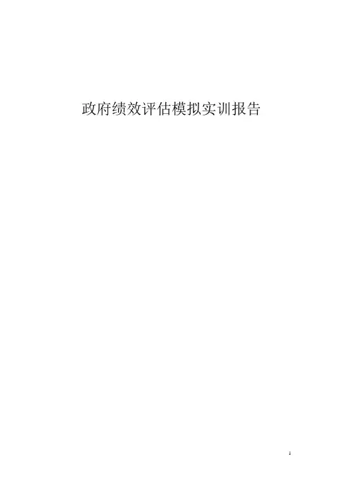 政府绩效评估
