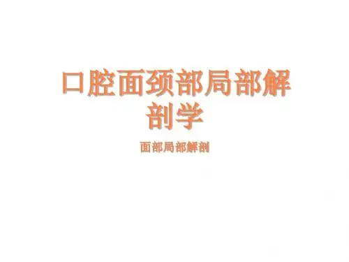 颌面部局部解剖PPT课件