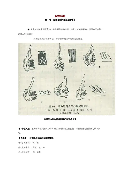 鱼类的食性鱼类食性的类型及其变化鱼类从环境中摄取食物