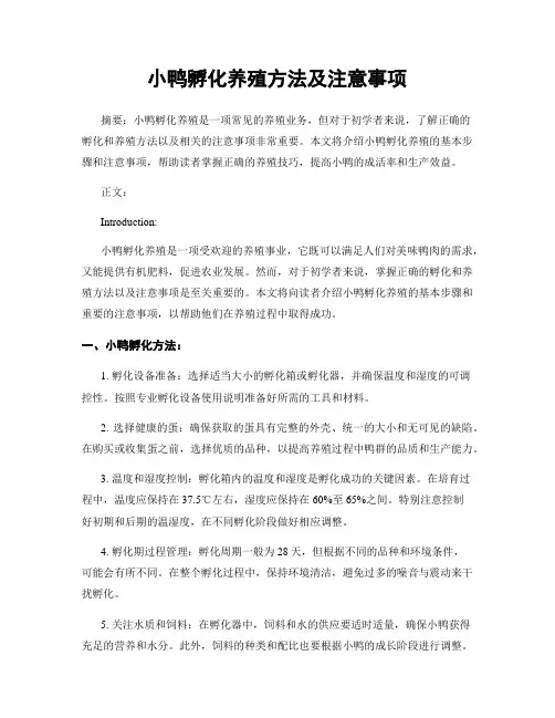 小鸭孵化养殖方法及注意事项