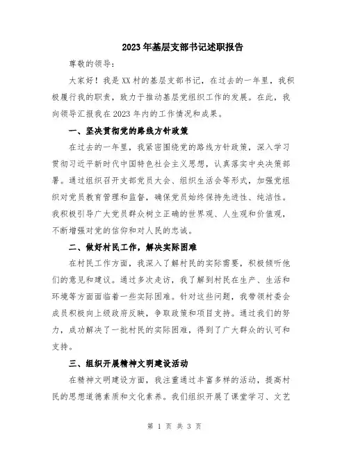 2023年基层支部书记述职报告
