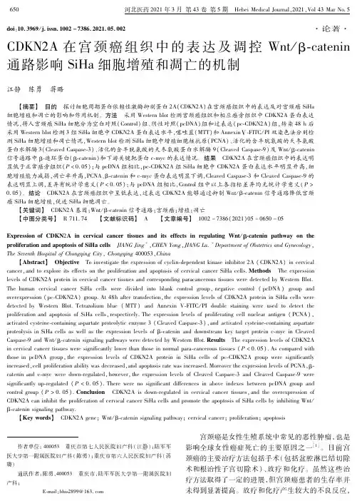 CDKN2A在宫颈癌组织中的表达及调控Wntβ-catenin通路影响SiHa细胞增殖和凋亡的机制