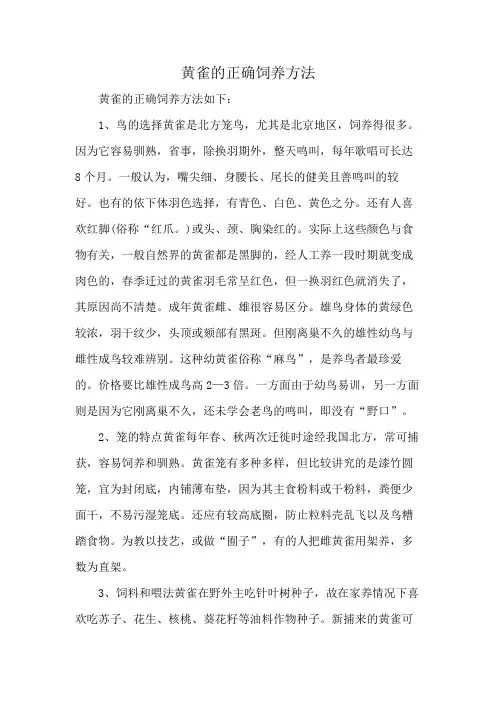 黄雀的正确饲养方法