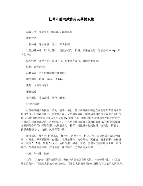 杜仲叶的功效作用及其提取物