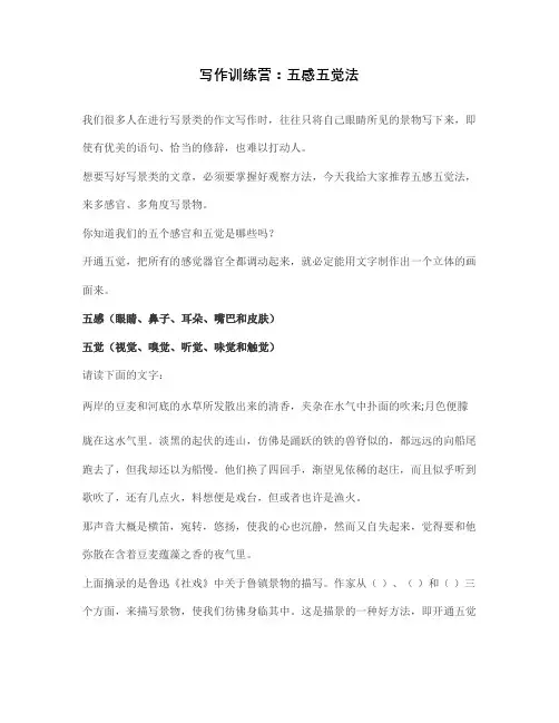 写作训练营：五感五觉法