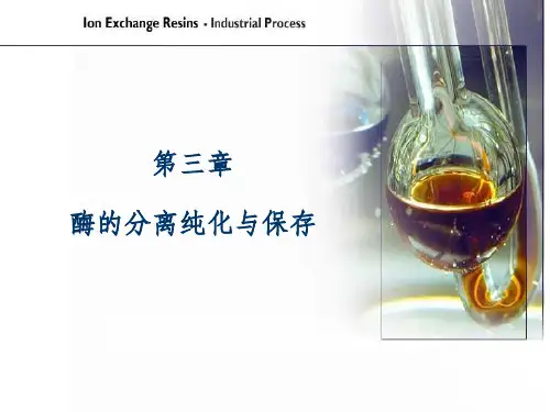《酶的分离纯化》PPT课件