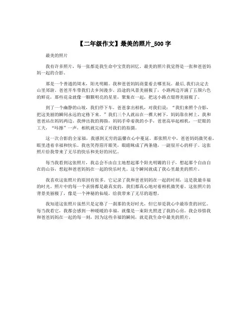 【二年级作文】最美的照片_500字