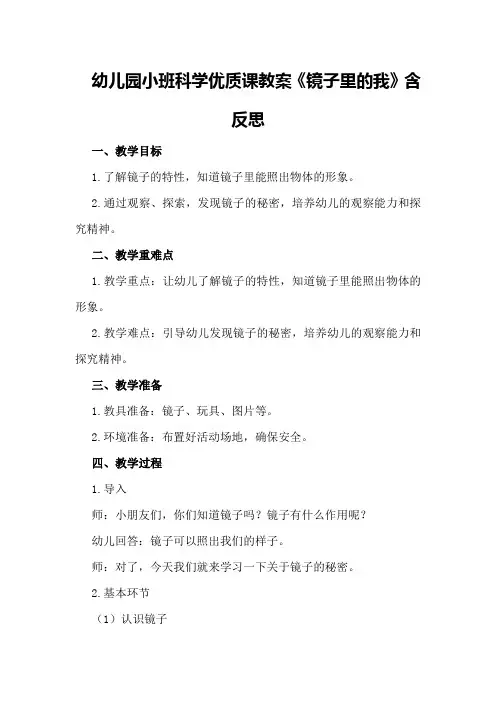幼儿园小班科学优质课教案《镜子里的我》含反思