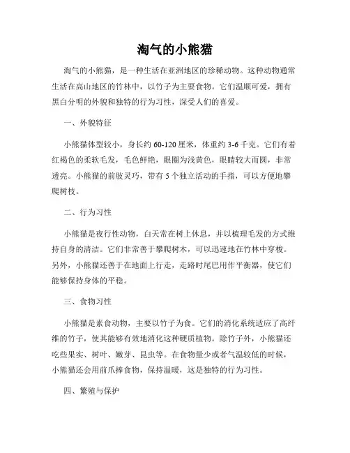淘气的小熊猫