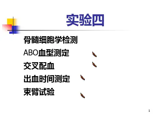 诊断学实验课件：实验四骨髓细胞学检查