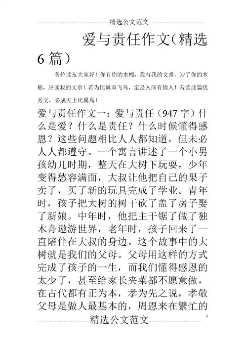 爱与责任作文(精选6篇)