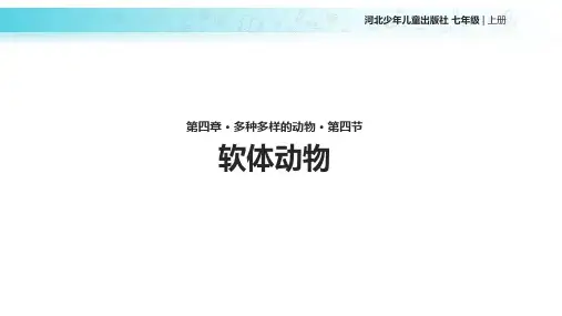《软体动物》(冀少)(冀教版)
