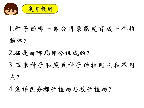 人教版七年级生物上册 3.2.1  种子的萌发