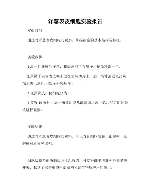 洋葱表皮细胞实验报告