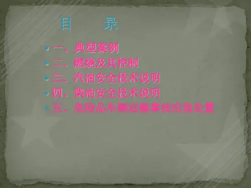 危险货物运输事故案例分析