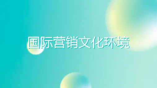 国际营销文化及社会环境