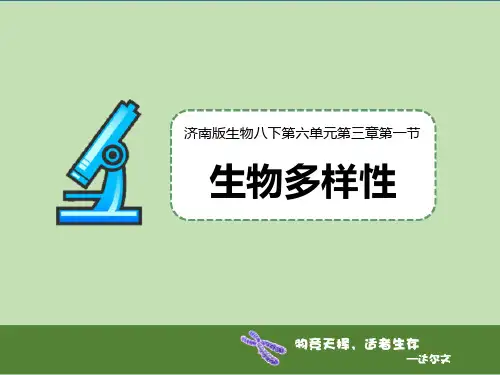 《生物多样性》课件(济南版)
