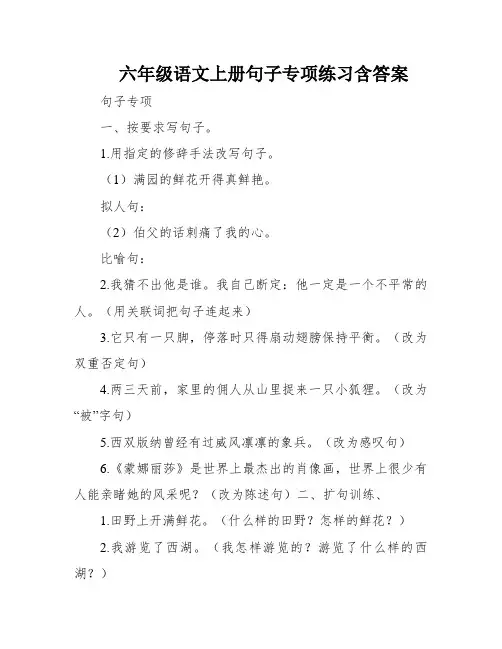 六年级语文上册句子专项练习含答案