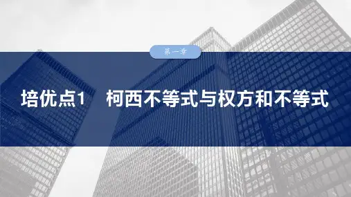 高中数学总复习 培优点1 柯西不等式与权方和不等式